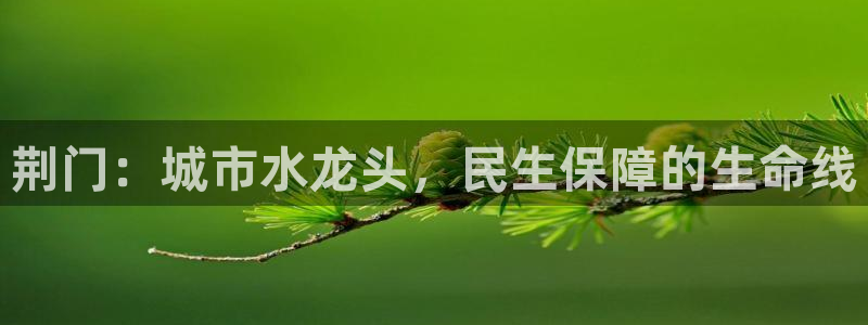 球友会体育app官方版下载安装手机