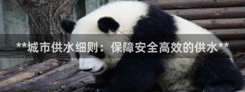 qy球友会体育官方平台