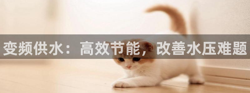 球友会qyh