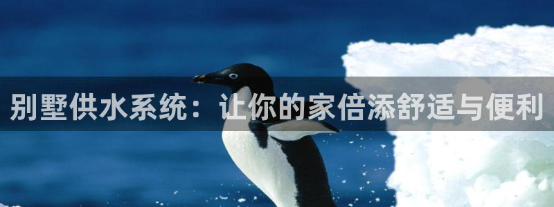 球友会联赛