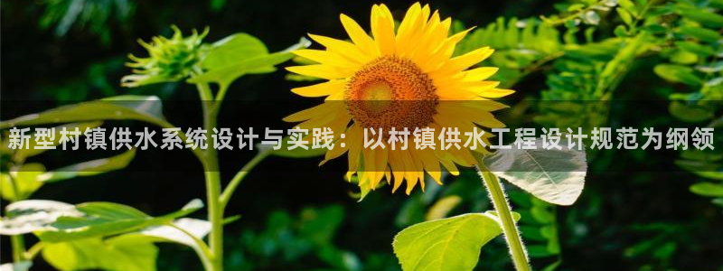 关键词