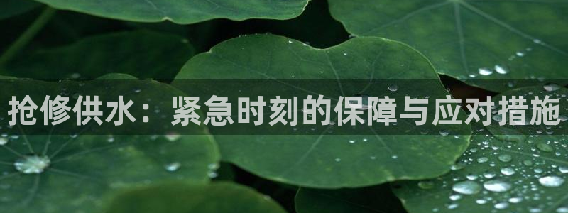 球友会为什么能上百度官方