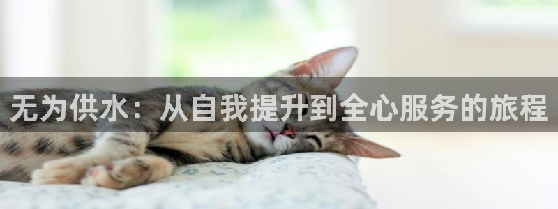 球友会官方网站下载