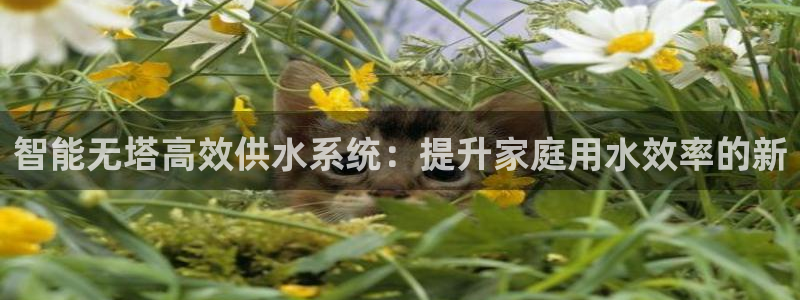 球友会官网入口网址