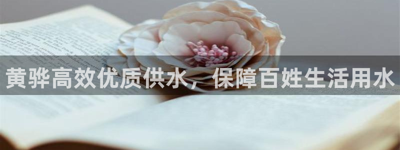 球友会比赛结果查询官网