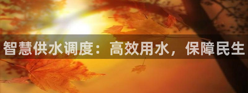 球友会比赛结果查询官网