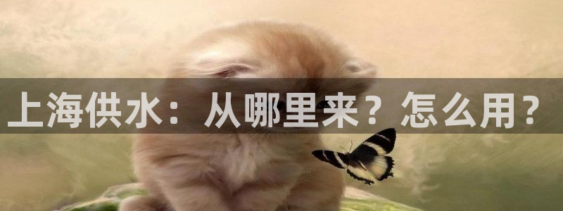 球友会台球俱乐部在哪