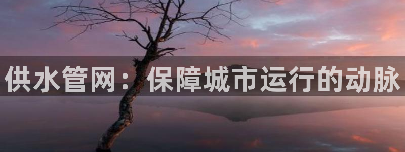 球友会提款审核中