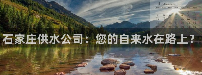 球友会比赛结果查询网站