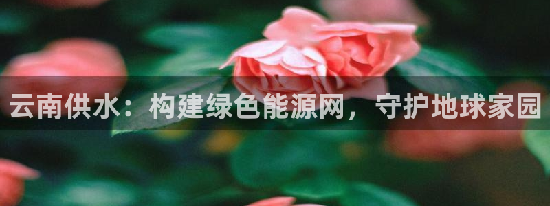 球友会体育app下载