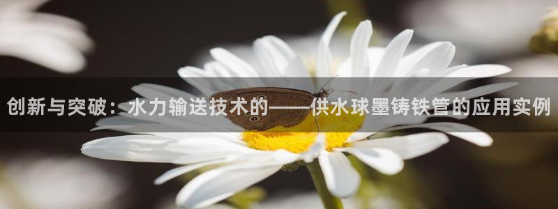 qy球友会体育怎么样