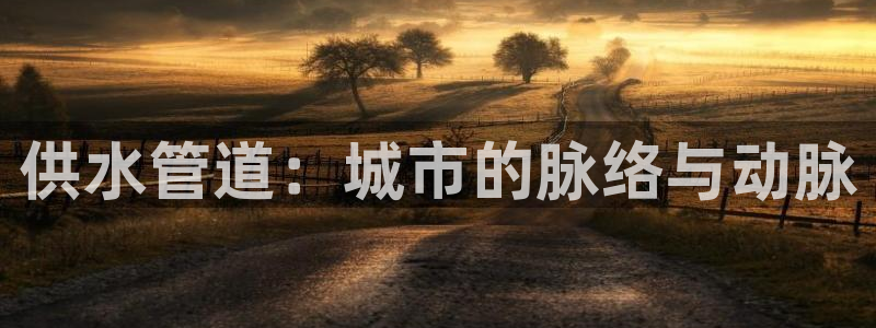 球友会在线登录账号吗安全吗