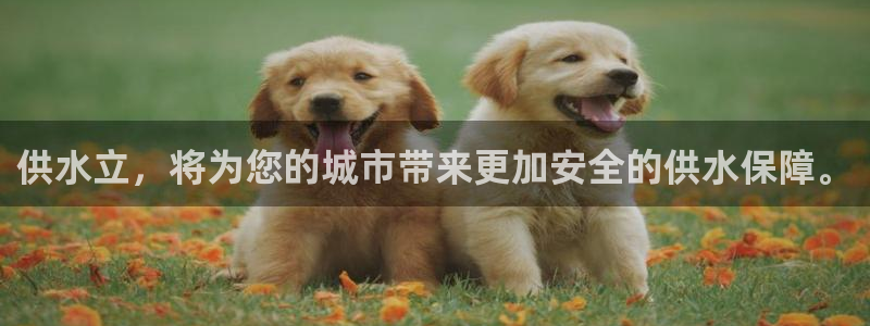 球友会体育app下载官网苹果