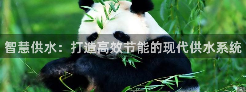 球友会登录不上的原因