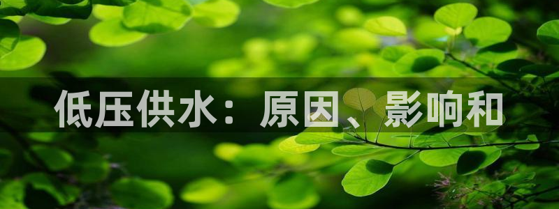 qy球友会体育怎么样